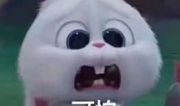 惠州今日吃瓜事件真相,一场误会引发的网络风波