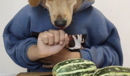 今日必吃的大瓜,揭秘娱乐圈最新猛料！