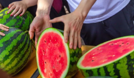 四川今日吃瓜,瓜田李下，美食与趣闻共舞